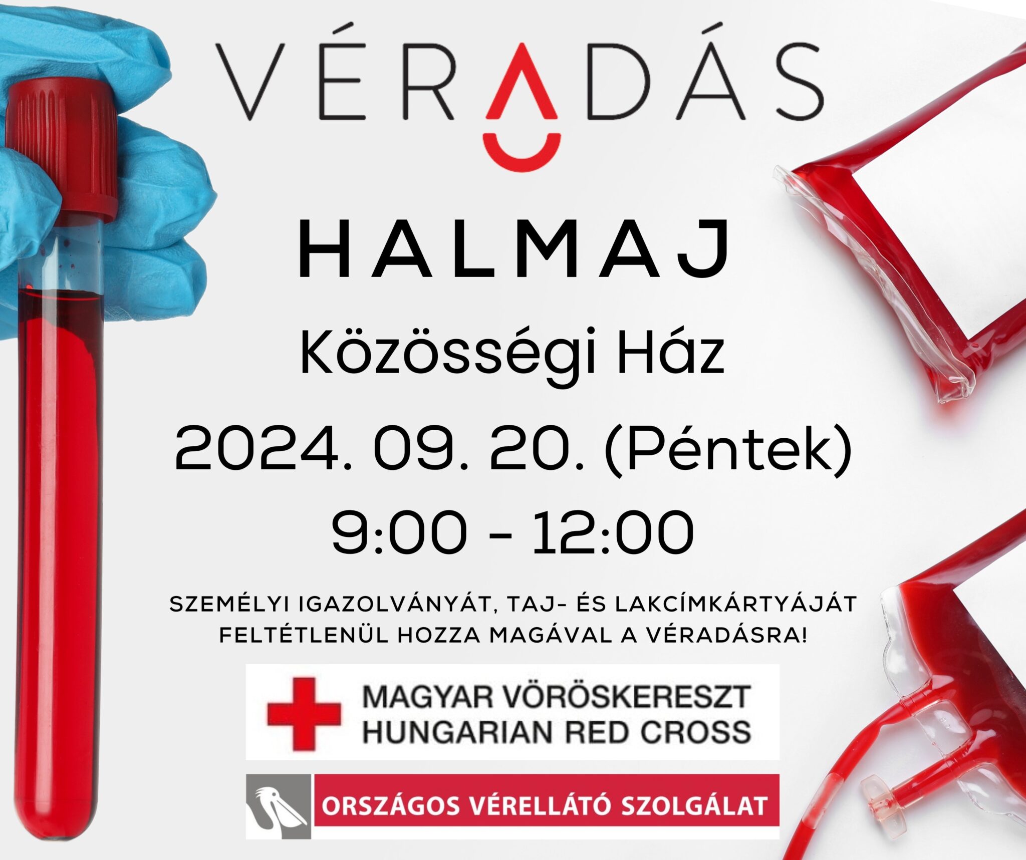 Hírek | Halmaj Község Honlapja